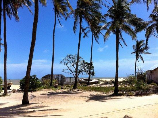 Scoop Cabana Kitesurfing Kalpitiya Bagian luar foto